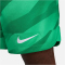 NIKE FC Barcelona Stadium Torwart Dri-FIT Fu&szlig;ballshorts 2023/24 Herren 324 - stadium green/malachite/white 3XL