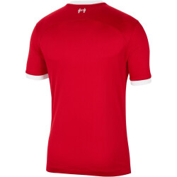 NIKE FC Liverpool Stadium Heim Dri-FIT Fußballtrikot 2023/24 Herren 688 - gym red/white XL
