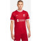 NIKE FC Liverpool Stadium Heim Dri-FIT Fußballtrikot 2023/24 Herren 688 - gym red/white XL