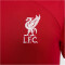 NIKE FC Liverpool Stadium Heim Dri-FIT Fußballtrikot 2023/24 Herren 688 - gym red/white XL