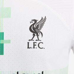 NIKE FC Liverpool Match Auswärts Dri-FIT ADV Fußballtrikot 2023/24 Herren 101 - white/green spark/black XS