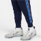 NIKE Sportswear Repeat Jogginghose Herren 411 - midnight navy/midnight navy/game royal S