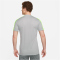 NIKE Academy Dri-FIT kurzarm Fu&szlig;ball Trainingsshirt Herren 007 - flt silver/volt/black S