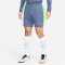 NIKE Academy Dri-FIT Fußballshorts Herren 491 - diffused blue/green strike/white S