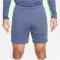 NIKE Dri-FIT Academy Fu&szlig;ballshorts Herren 491 - diffused blue/green strike/white S