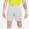 NIKE Academy Dri-FIT Fu&szlig;ballshorts Herren 007 - flt silver/volt/black S