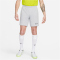 NIKE Academy Dri-FIT Fu&szlig;ballshorts Herren 007 - flt silver/volt/black S