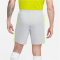 NIKE Academy Dri-FIT Fu&szlig;ballshorts Herren 007 - flt silver/volt/black S