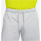 NIKE Academy Dri-FIT Fu&szlig;ballshorts Herren 007 - flt silver/volt/black S
