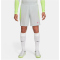 NIKE Strike Dri-FIT Fußballshorts Herren 043 - pure platinum/volt/hyper pink S