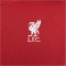 NIKE FC Liverpool Club Fleece Kapuzenjacke Herren 687 - gym red/white S