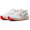 NIKE Pegasus 40 Laufschuhe Herren 100 - white/obsidian-lt orewood brn-phantom 48.5