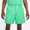 NIKE Sportswear Essentials Woven Lined Flow Badeshorts Herren 363 - spring green/white XS