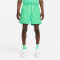 NIKE Sportswear Essentials Woven Lined Flow Badeshorts Herren 363 - spring green/white XS
