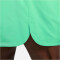 NIKE Sportswear Essentials Woven Lined Flow Badeshorts Herren 363 - spring green/white XS