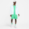 NIKE Sportswear Essentials Woven Lined Flow Badeshorts Herren 363 - spring green/white S