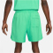 NIKE Sportswear Essentials Woven Lined Flow Badeshorts Herren 363 - spring green/white S