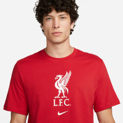 NIKE FC Liverpool Fußball T-Shirt Herren 687 - gym red S