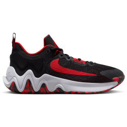 NIKE Giannis Immortality 2 Basketballschuhe Herren 005 - black/university red-wolf grey 49.5