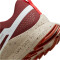 NIKE React Pegasus Trail 4 Trailrunning-Schuhe Herren 200 - dark pony/sail-picante red-rush fuchsia 41