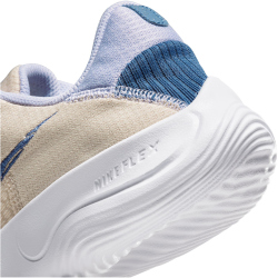 NIKE Flex Experience Run 11 Next Nature Laufschuhe Damen 102 - sanddrift/diffused blue-white 35.5