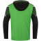 JAKO Performance Präsentationsanzug 221 - soft green/schwarz S