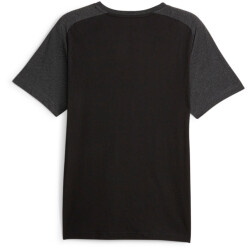 PUMA BVB Borussia Dortmund Casuals T-Shirt