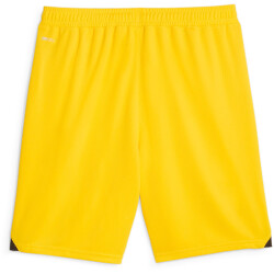 PUMA BVB Borussia Dortmund Shorts 2023/24