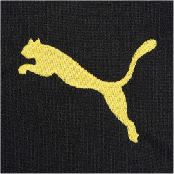 PUMA BVB Borussia Dortmund Shorts 2023/24