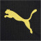 PUMA BVB Borussia Dortmund Shorts 2023/24
