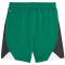 PUMA Borussia Mönchengladbach CB Shorts 2023/24 Kinder