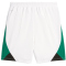 PUMA Borussia Mönchengladbach CB Shorts 2023/24 Kinder