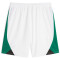 PUMA Borussia Mönchengladbach CB Replica Shorts 2023/24