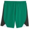 PUMA Borussia Mönchengladbach CB Replica Shorts 2023/24