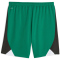 PUMA Borussia Mönchengladbach CB Shorts 2023/24