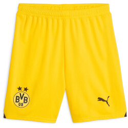 PUMA BVB Borussia Dortmund Shorts 2023/24 01 - cyber...