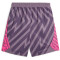 PUMA BVB Borussia Dortmund Torwartshorts 2023/24 Kinder 05 - purple charcoal 176