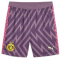 PUMA BVB Borussia Dortmund Torwartshorts 2023/24 05 - purple charcoal 3XL