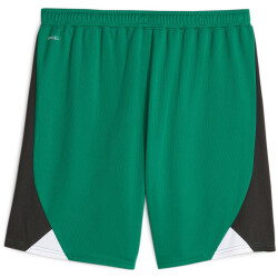 PUMA Borussia Mönchengladbach CB Replica Shorts 2023/24 03 - power green-puma black S