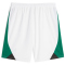 PUMA Borussia M&ouml;nchengladbach CB Replica Shorts 2023/24 01 - PUMA white-power green S