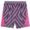 PUMA Borussia Mönchengladbach Replica Torwartshorts 2023/24 Kinder 04 - purple charcoal-ravish 116