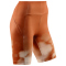 CEP Bloom Laufshorts Damen