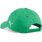 PUMA Borussia M&ouml;nchengladbach Team Cap 01 - PUMA green/PUMA black