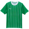 PUMA SK Rapid Wien Heimtrikot 2023/24 Template Herren