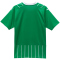 PUMA SK Rapid Wien Heimtrikot 2023/24 Template Herren