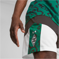 PUMA Borussia M&ouml;nchengladbach Trainingsshorts Herren