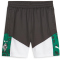 PUMA Borussia Mönchengladbach Trainingsshorts Herren