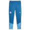 PUMA Manchester City FC Trainingshose Herren