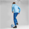 PUMA Manchester City FC Trainingshose Herren