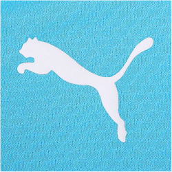 PUMA Manchester City FC 1/4-Zip Trainings-Top Herren